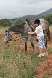 Swaziland343.jpg