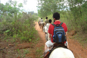 Swaziland661.jpg