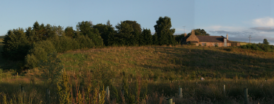 TheBrae02inJuly-2007.jpg