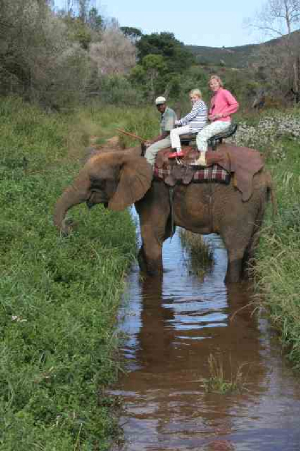 southafrica_botlierskop161.jpg