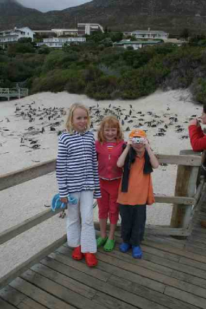 southafrica_bouldersbeach12.jpg